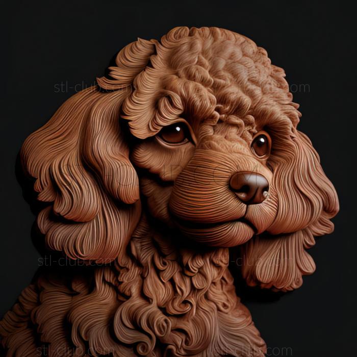 3D model st Boy poodle famous animal (STL)